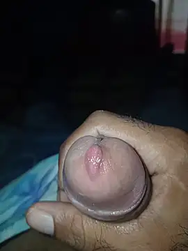 taylorWiiz online show from February 8, 3:15 pm