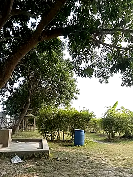 Hot Urvi online show from December 19, 7:04 am