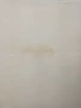 Snapshot of Rina777o chatting on December 30, 8:36 pm Rina777o online show from December 30, 8:36 pm