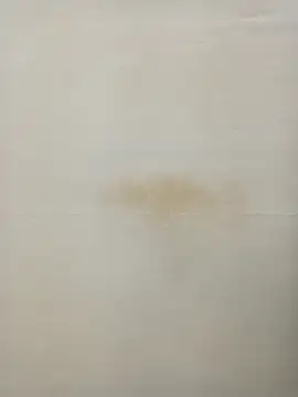 Snapshot of Rina777o chatting on January 27, 6:31 pm Rina777o online show from January 27, 6:31 pm