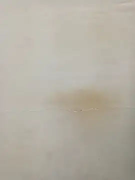 Snapshot of Rina777o chatting on March 7, 6:11 pm Rina777o online show from March 7, 6:11 pm