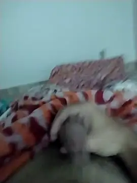 lm279 online show from February 13, 5:33 pm