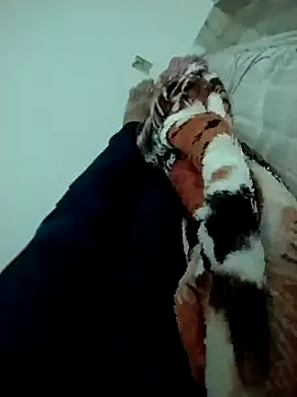 lm279 online show from February 14, 3:47 pm