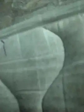 lm279 online show from February 19, 8:20 pm