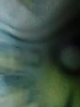 Snapshot of QcMisterv13 chatting on November 24, 2:39 pm QcMisterv13 online show from November 24, 2:39 pm