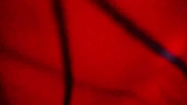 Snapshot of Nathaly_love96 chatting on February 20, 7:47 pm Nathaly love96 online show from February 20, 7:47 pm