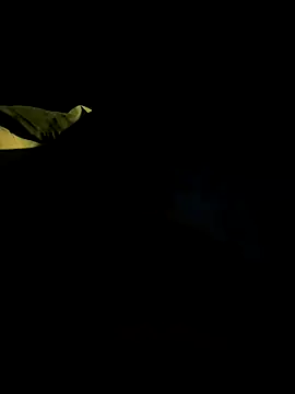 bigdickbandot online show from November 18, 11:03 am