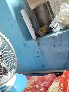 Snapshot of Natasha-In69 chatting on February 6, 10:43 pm Natasha-In69 online show from February 6, 10:43 pm