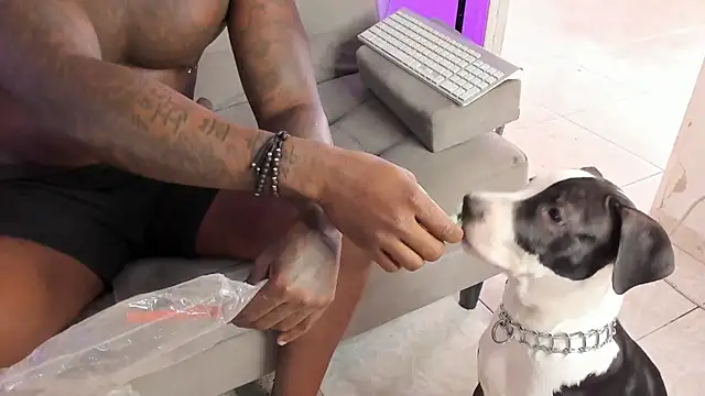 Dvid Rullers online show from September 16, 12:50 pm