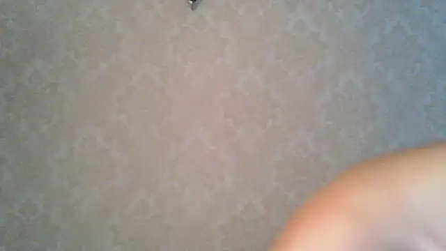 Kashtanka  online show from October 27, 7:56 am