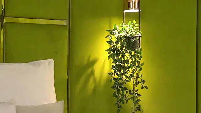 NattyDevon online show from April 8, 5:29 am