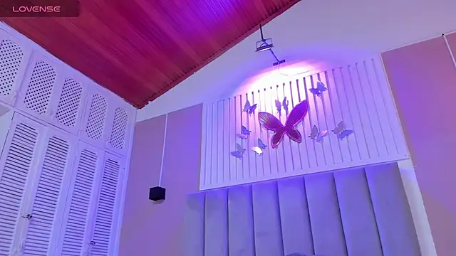 dyvis 22 online show from November 6, 1:56 pm