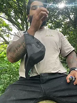 Lyon vach online show from November 3, 7:37 pm