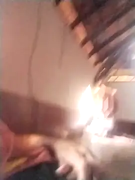 rajshank online show from December 29, 10:01 am