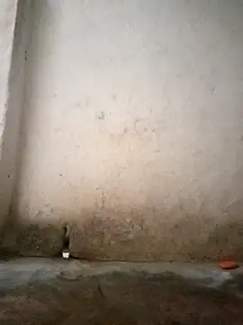 Snapshot of Hotty-queen chatting on October 11, 2:11 am Hotty-queen online show from October 11, 2:11 am