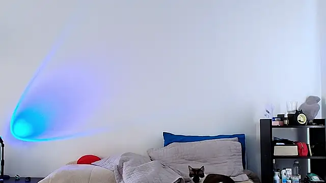 Snapshot of anika_lowen02 chatting on February 6, 8:23 pm anika lowen02 online show from February 6, 8:23 pm