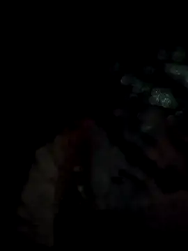 lit702 online show from April 6, 8:54 pm