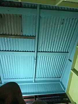 islandvybee55 online show from January 8, 7:54 am