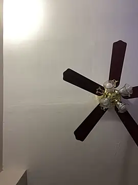 islandvybee55 online show from April 15, 12:01 pm