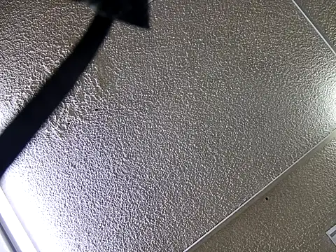 Snapshot of yajahil chatting on November 28, 7:38 pm yajahil online show from November 28, 7:38 pm