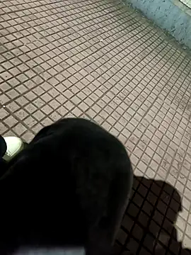 Snapshot of SurjS9 chatting on September 20, 3:35 pm SurjS9 online show from September 20, 3:35 pm