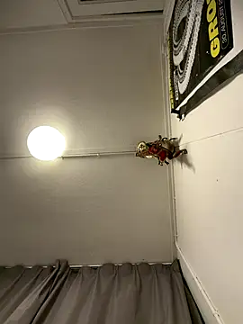 Snapshot of wolfwhite95 chatting on November 14, 11:57 pm wolfwhite95 online show from November 14, 11:57 pm