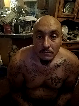 wilsons12 online show from November 6, 5:30 am