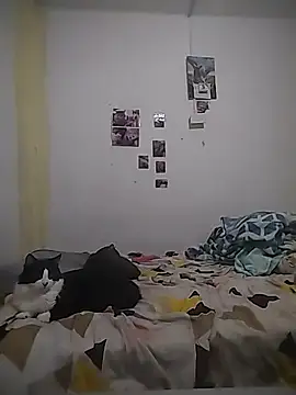 Snapshot of safira_hot chatting on February 16, 12:40 am safira hot online show from February 16, 12:40 am