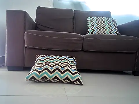 Snapshot of charlyporno22 chatting on February 21, 6:15 pm charlyporno22 online show from February 21, 6:15 pm