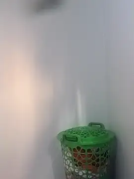 BriannaVincent online show from February 5, 4:39 am