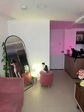 Snapshot of DakotaShelby chatting on January 13, 8:37 pm DakotaShelby online show from January 13, 8:37 pm