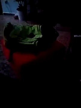 Snapshot of minitranca chatting on February 26, 9:58 pm minitranca online show from February 26, 9:58 pm