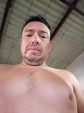 strip 1212 online show from November 27, 2:52 pm