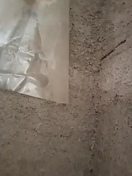 strip 1212 online show from November 29, 5:27 pm