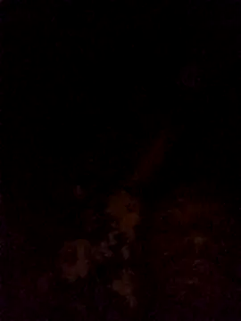 Snapshot of Hilkanna_ chatting on March 8, 9:29 pm Hilkanna online show from March 8, 9:29 pm