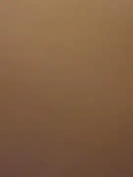 EvaRush online show from February 16, 8:11 pm