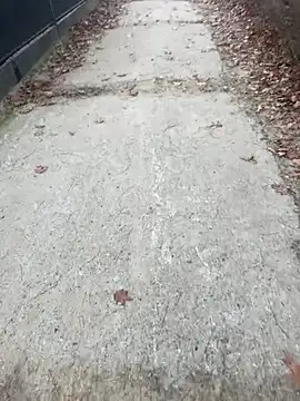 Tomkitomkii online show from November 6, 2:51 pm