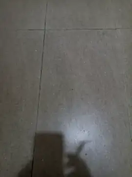 Snapshot of wildfox566 chatting on January 18, 3:10 am wildfox566 online show from January 18, 3:10 am