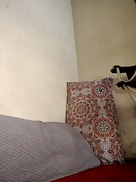 Shria107 online show from October 22, 7:30 am