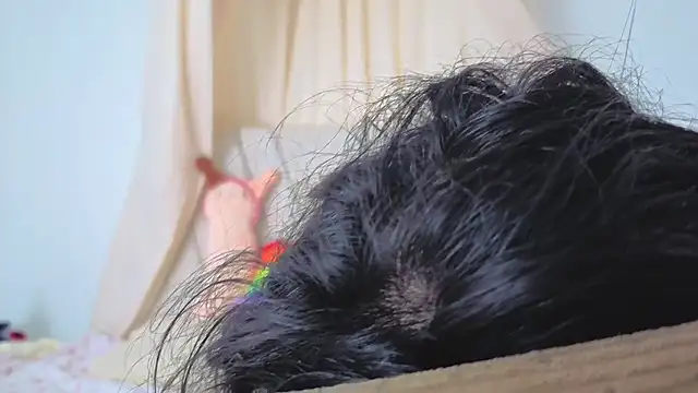 Katiaflex online show from March 2, 3:41 am