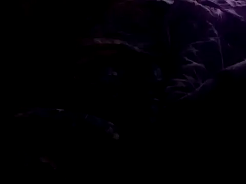 Pladurexxx online show from March 4, 11:22 pm