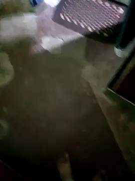 InboardHasek online show from December 5, 1:28 pm