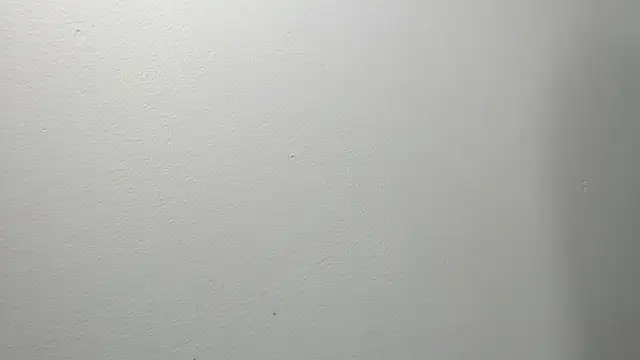 sussy leon online show from March 4, 12:22 pm