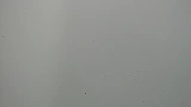 sussy leon online show from March 14, 1:02 pm