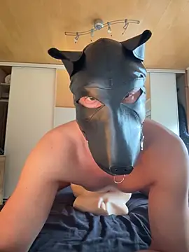 Snapshot of PlayDog123 chatting on October 16, 2:29 pm PlayDog123 online show from October 16, 2:29 pm