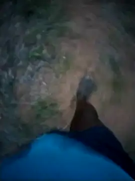 although35 online show from February 2, 5:04 pm