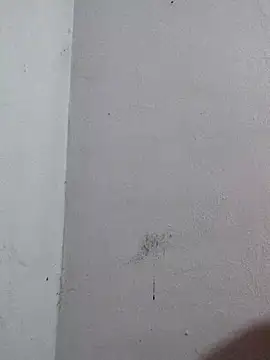 Negrocomedo online show from March 6, 1:51 pm