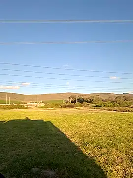 MIGHTY MAGNUM online show from February 8, 5:08 pm