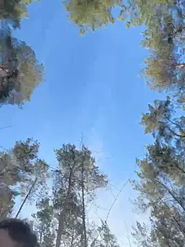 janberlin online show from March 13, 9:38 am