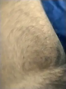 jellydicks online show from March 4, 2:23 pm